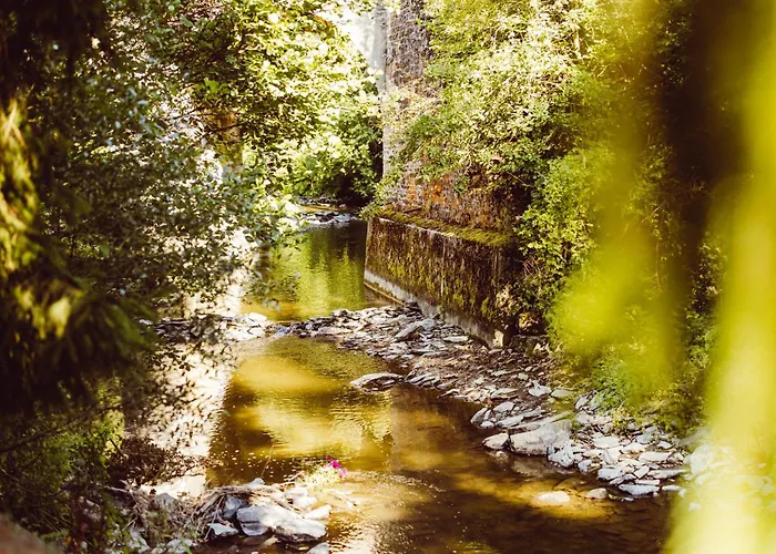 2 Persoons Comfort Bockmillen Woltzdal