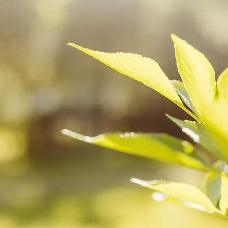 2 Persoons Comfort Bockmillen Woltzdal Parque de Campismo