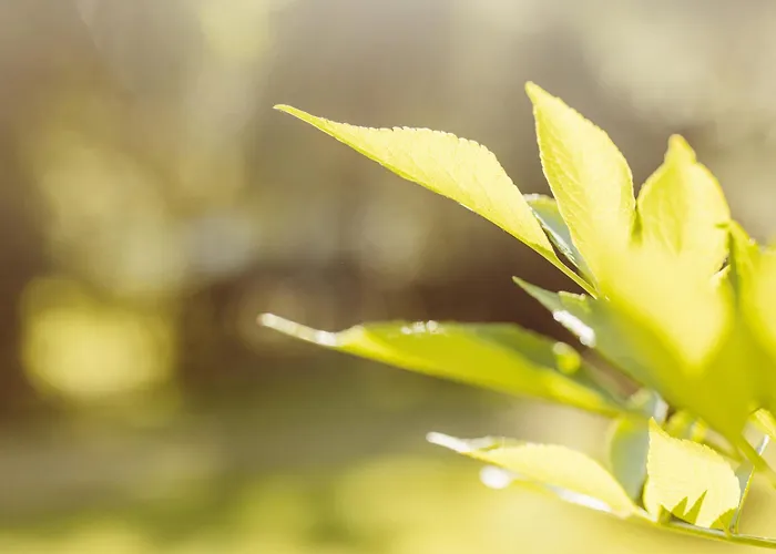 2 Persoons Comfort Bockmillen Woltzdal Campingplatz